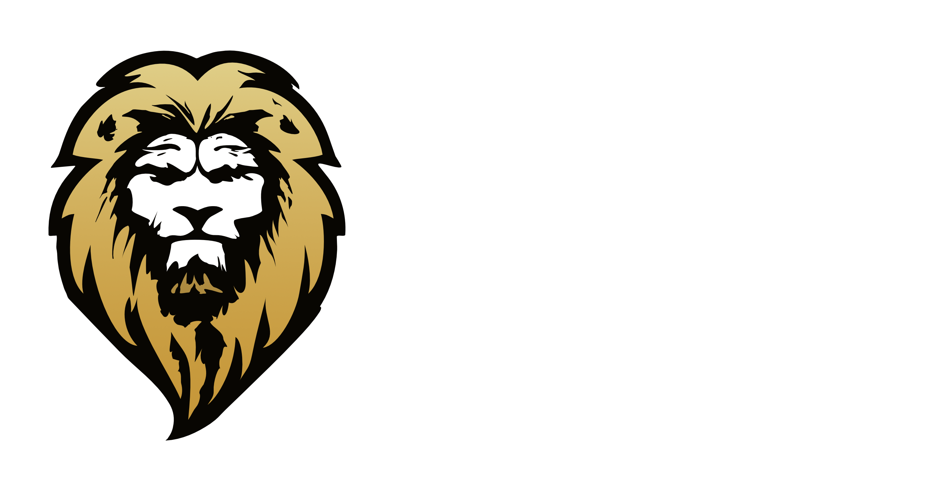 BSS_Ilvesheim